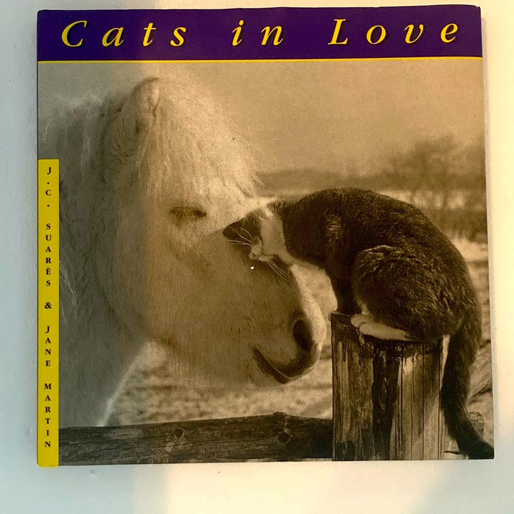 Book: Cats in Love. 1996